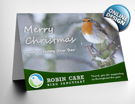 Christmas Cards